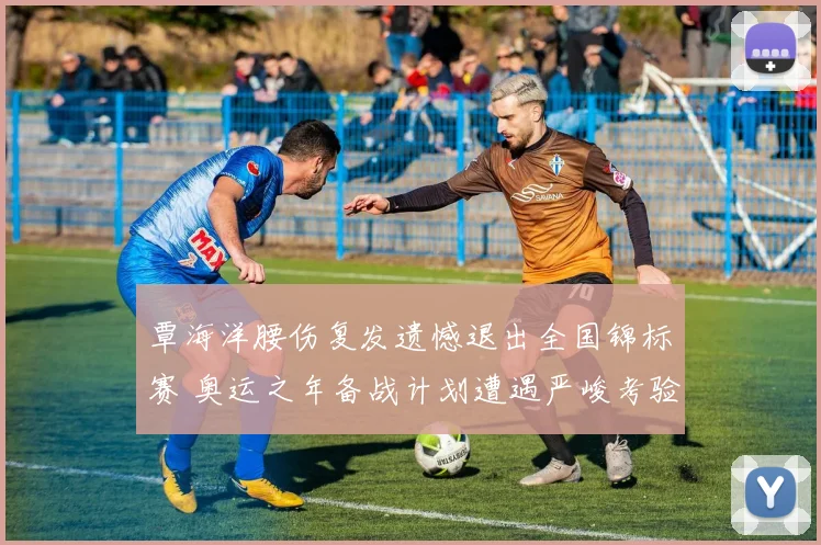 覃海洋腰伤复发遗憾退出全国锦标赛 奥运之年备战计划遭遇严峻考验