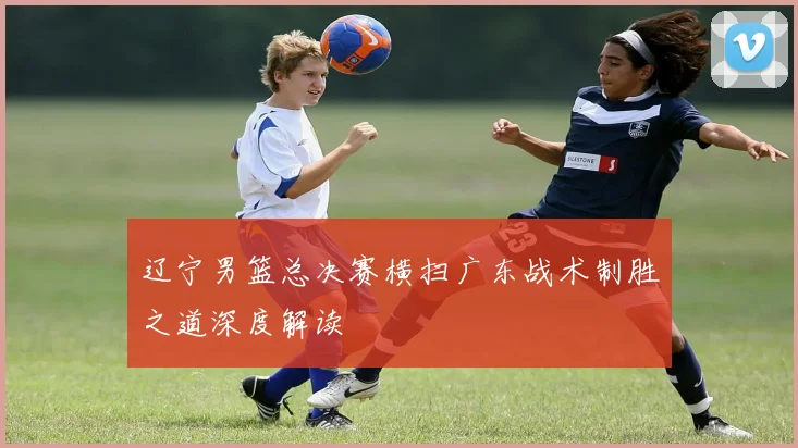 辽宁男篮总决赛横扫广东战术制胜之道深度解读