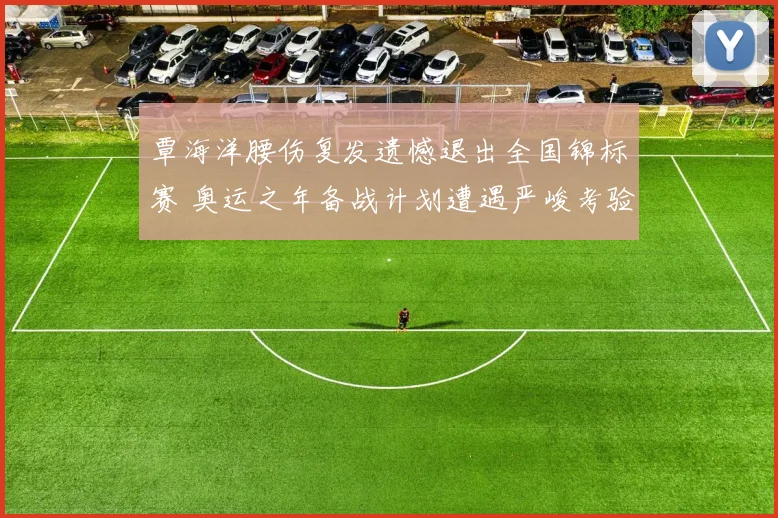 覃海洋腰伤复发遗憾退出全国锦标赛 奥运之年备战计划遭遇严峻考验